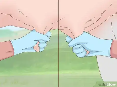 Image intitulée Milk a Cow Step 14
