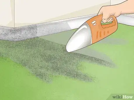 Image intitulée Clean Smoke Damage Step 12