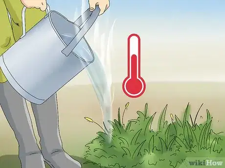 Image intitulée Make Weed Killer Step 8