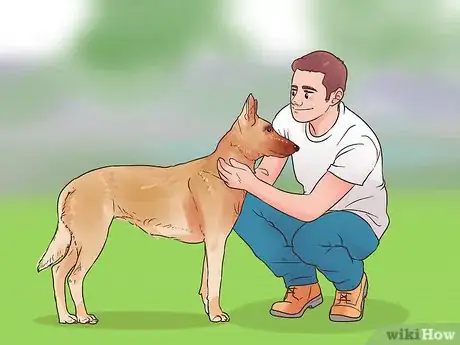 Image intitulée Train a Belgian Malinois Step 3