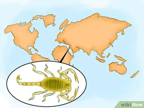 Image intitulée Treat a Scorpion Sting Step 20