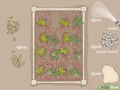 Image intitulée Use Blood Meal Step 9