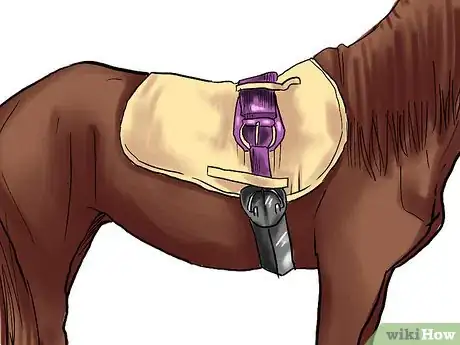 Image intitulée Train a Horse Step 16