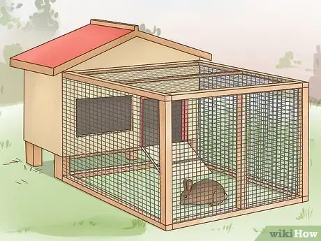 Image intitulée Care for a Baby Wild Rabbit Step 21