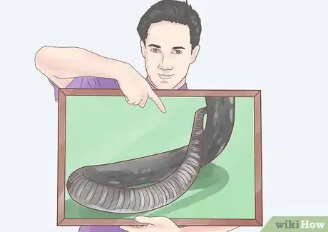 Image intitulée Differentiate Between Poisonous Snakes and Non Poisonous Snakes Step 7