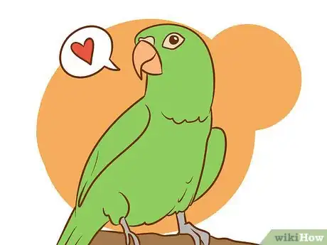 Image intitulée Care for a Conure Step 1