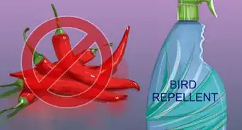 empêcher les oiseaux de faire des nids