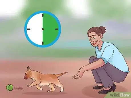 Image intitulée Train a Belgian Malinois Step 2