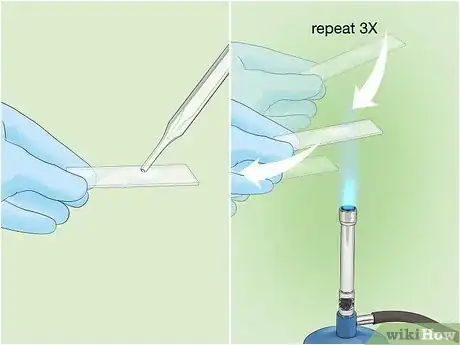 Image intitulée Identify Bacteria Step 3