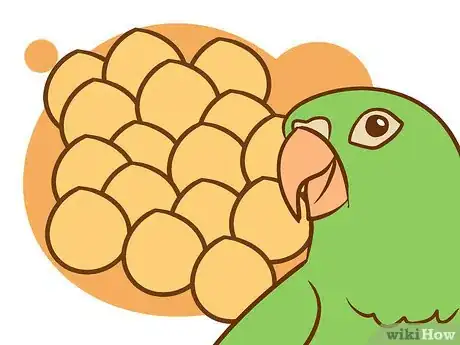 Image intitulée Care for a Conure Step 7