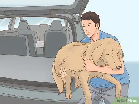 Image intitulée Care for a Dog After Spaying Step 20
