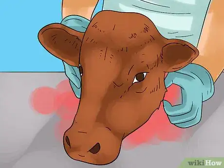 Image intitulée Preserve a Skull Step 2