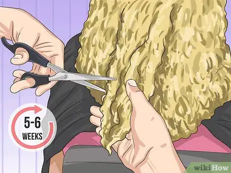 Image intitulée Bleach African American Hair Step 21