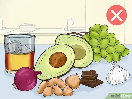 Image intitulée Care for Golden Retrievers Step 5
