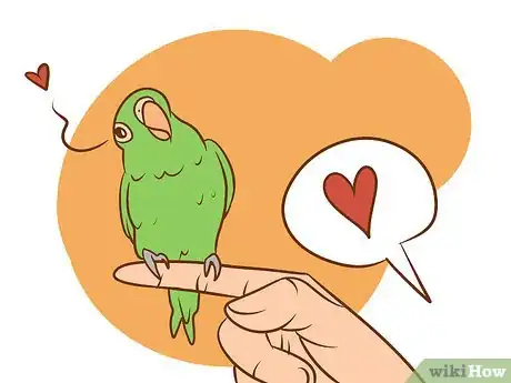 Image intitulée Care for a Conure Step 8