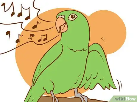 Image intitulée Care for a Conure Step 6