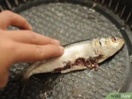 Image intitulée Cook Sardines Step 12