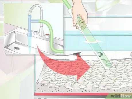 Image intitulée Clean Aquarium Gravel Step 6