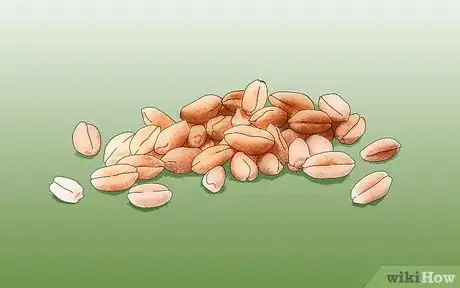 Image intitulée Grow Wheatgrass at Home Step 1