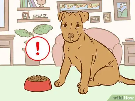 Image intitulée Recognize and Treat Salivary Mucocele in Dogs Step 4