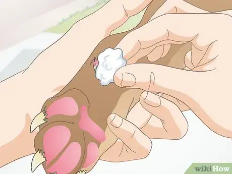Image intitulée Care for a Dog's Dew Claw Step 9