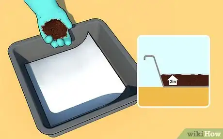 Image intitulée Grow Wheatgrass at Home Step 4