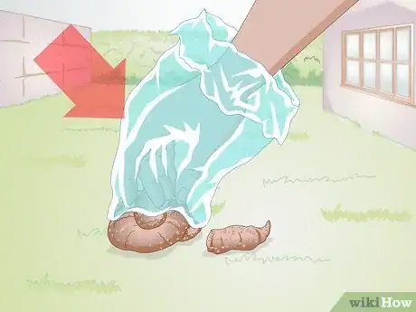 Image intitulée Clean Up Dog Waste from a Backyard Step 1