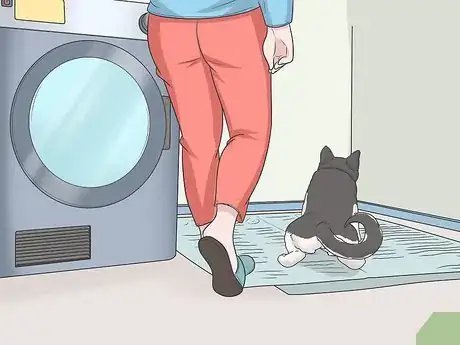 Image intitulée Potty Train Your Puppy Using a Bell Step 8