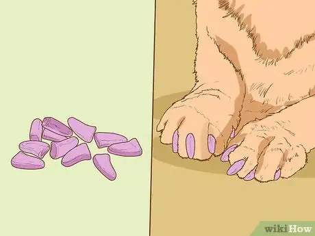 Image intitulée Change an Outdoor Cat Into an Indoor Cat Step 15