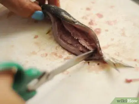 Image intitulée Cook Sardines Step 4Bullet3