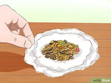 Image intitulée Catch a Runaway Hamster Step 10