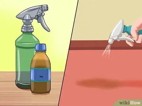 Image intitulée Clean Vomit out of Carpet Step 19
