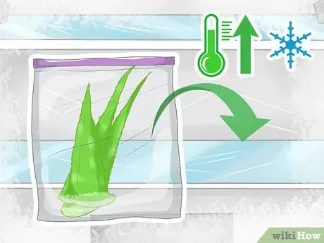 Image intitulée Store Aloe Leaves Step 2