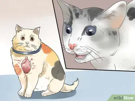 Image intitulée Help Your Cat Breathe Easier Step 15