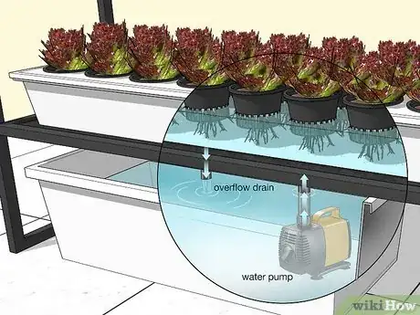 Image intitulée Design a Successful Indoor Garden Step 9