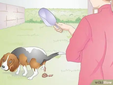 Image intitulée Clean Up Dog Waste from a Backyard Step 4
