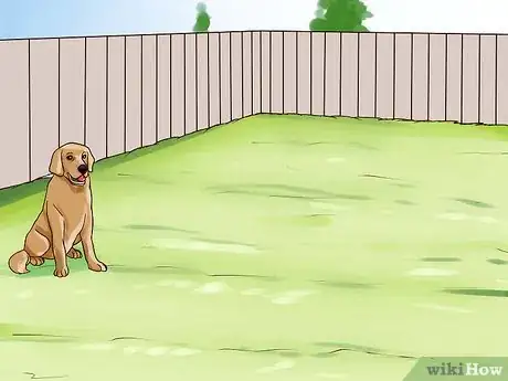 Image intitulée Keep Your Dog from Chasing Cats Step 17