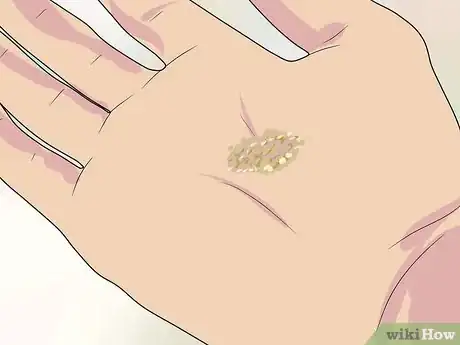 Image intitulée Sow Grass Seed Step 2