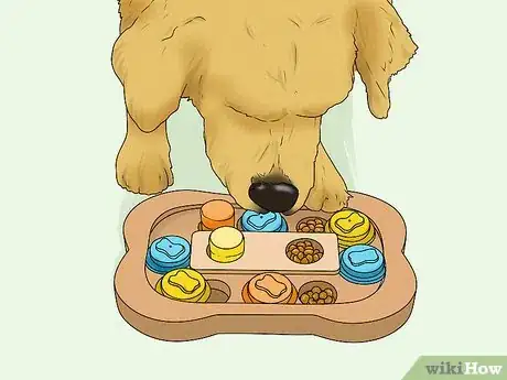 Image intitulée Care for Golden Retrievers Step 13