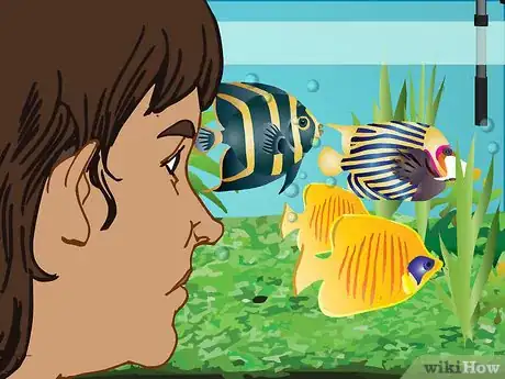 Image intitulée Take Care of Your Fish (Tanks) Step 10