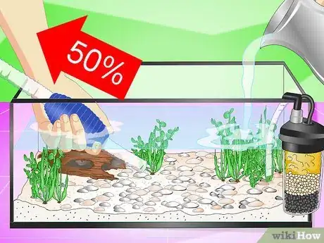 Image intitulée Set up a Fish Tank (for Goldfish) Step 6