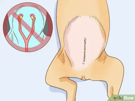 Image intitulée Care for Dogs Step 12