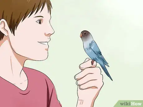 Image intitulée Teach Your Budgie to Talk Step 2