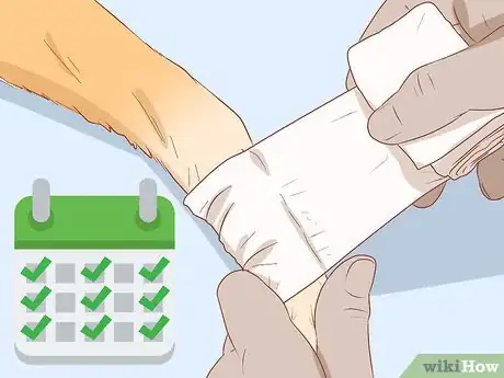 Image intitulée Keep a Dog from Licking a Wound Step 11