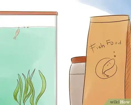 Image intitulée Keep Guppies Healthy Step 5