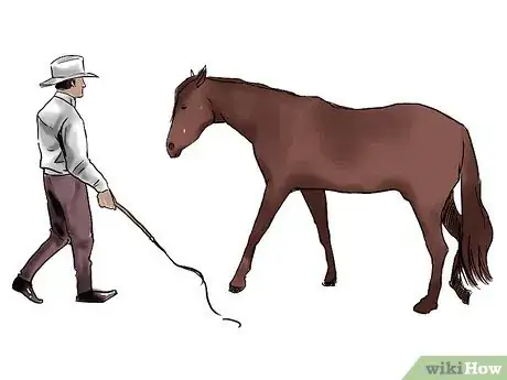 Image intitulée Train a Horse Step 14