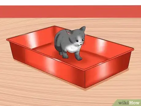 Image intitulée Separate Kittens from a Mother Cat for Adoption Step 2