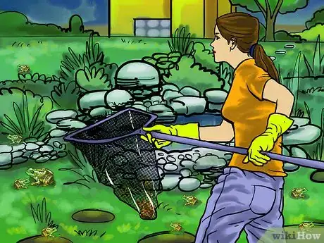 Image intitulée Get Rid of Frogs Step 10