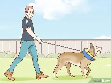 Image intitulée Keep a Dog from Licking a Wound Step 12