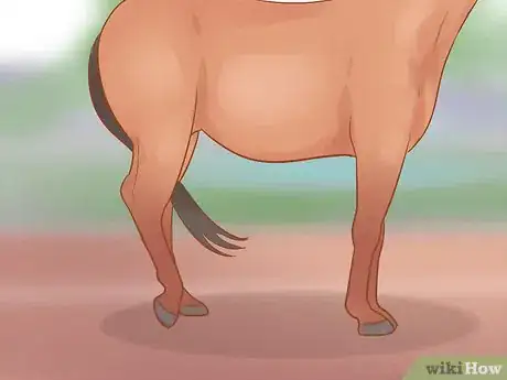 Image intitulée Understand Horse Communication Step 4